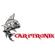 Carptronik