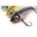 Цикада Fox Rage Big Eye Blade 10g UV Pike NCT017