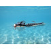 Мандула DaKi Floating Larva 70mm 2.8 #04 Black/Silver