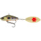 Brown Trout Smolt