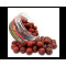 SQUID / BLOODWORM