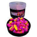 Trinity Baits SNAIL Pop-Up Tutti Frutti 10*6 мм
