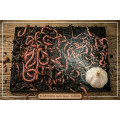 Хробак Дендробена Garlic Sauce - Часник (30-35 шт)