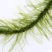 Лідкор Katran Lead Core Mimicker 10m 45lb Weedy Camo Green