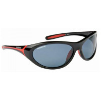 Окуляри Shimano Catana BX Suncatbx