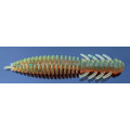 Силікон Daki Baits Insect 2.0  12pcs.  -011