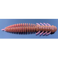 Силікон Daki Baits Insect 2.0  12pcs.  -016
