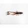 Силікон Daki Baits Ring 2.0 KR 8pcs.  -01