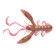 LJ ROCK CRAW Pro Series 2,8 / S14 *6