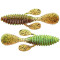 Winter Craw
