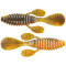 Hurricane Craw