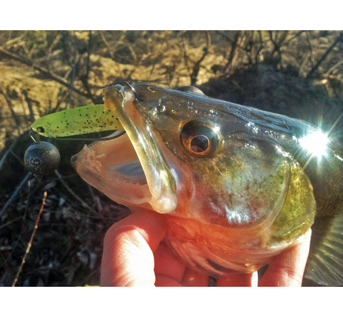 LJ MAKORA SHAD TAIL 3D Pro Series  3 / 003 *7