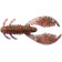 Силікон REINS AX Craw Mini 2 406 Boil Shrimp (12 шт/уп.)
