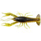 Summer Craw