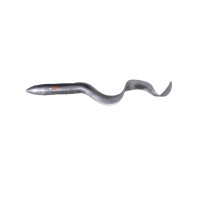 Силикон Savage Gear 3D Real Eel Loose Body 15cm 12g 20-Black Silver Eel