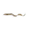 Силікон Savage Gear 3D Real Eel Loose Body 15cm 12g 22-Olive Sparkle Pearl