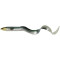 Green Silver Eel