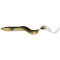 Dirty Eel