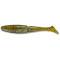 Golden Shiner