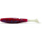 Plum Blue White Tail