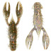 Z-Man TRD Crawz 2.5 6pc #Drew's Craw
