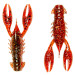 Z-Man TRD Crawz 2.5 6pc #Hot Craw