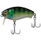 HL Blue Gill