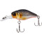 HL Silver & Black Red Belly