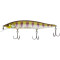 Ghost Gill