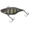 Black King Gill