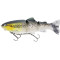 Headlight Deluxe Trout