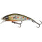 Brown Trout Smolt