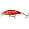 Red Shrimp