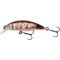 Brown Shrimp