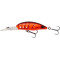Red Shrimp