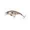 Olive Smolt