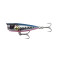 Pink Belly Sardine Php