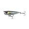 Sardine Php