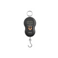Кантер 603A, 50кг (10г)